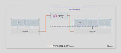 当需要额外的功能时，Ambient Mesh 会部署路径代理，Ztunnel 通过这些代理进行连接以执行策略。