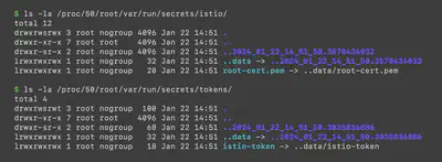 通过我们的 sidecar 容器访问 Istio 令牌